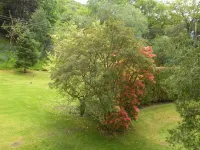 Thistle House Guest House - Villa