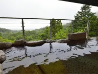 湯山 理想杜 湯山度假村 希望莊 - 溫泉