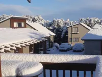 Alpine Motel - Mountain view