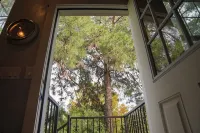 Charming Carriage Home in Gilbert, AZ