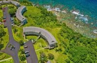 Mesmerizing Ocean View -Hawaiiana Style Walkout Unit - Whale and Bird Watching - 3-Star
