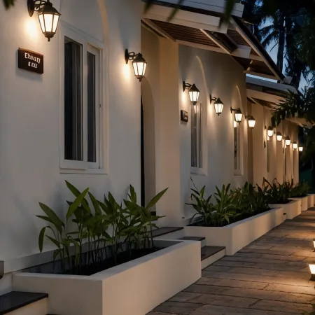 Aeraki palms