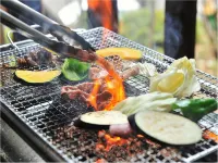 All Resort Service Holiday Homes and Cottages to Rent
