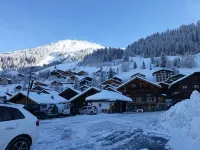 Very well appointed Apartment in Chatel , very convenient for shops ,restaurants - 3つ星