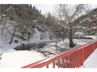 Hanamaki Ryokan Airinkan - con vista montagne