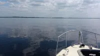 Cottage on Lough Ree / River Shannon in the heart of Ireland - Wi-Fi