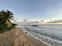 Beautiful oceanfront property with pool and amenities to relax - Homestays