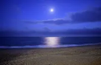 Best location in Ventnor, stunning sea views - Ocean View