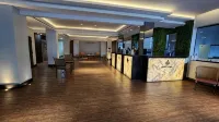 Hotel Campo Grande - bar