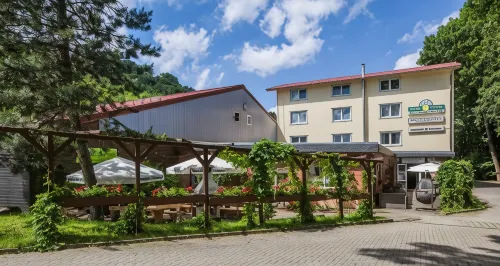 Sporthotel Wernigerode - bar