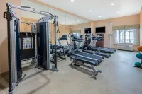 Holiday Inn Express & Suites ARDMORE by IHG - Gym