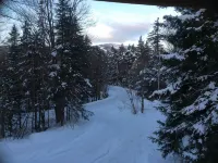 Cozy Tree Like House.  Walk to Market & Rest. Low Rates. 1 Mile to MT Snow. - Wifi