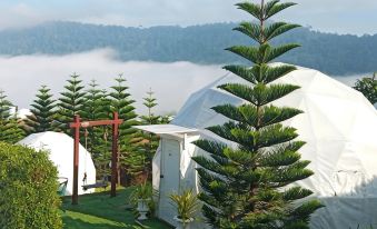 Stratus Resort