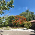 Dream Villa in Hacienda Pinilla Reserva de Golf - Træningscentre