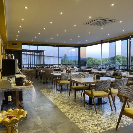 Roy Otel