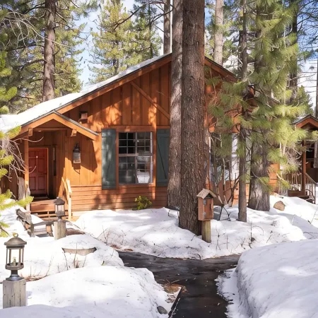 Black Bear Lodge