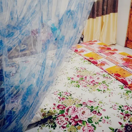 Ask Homestay