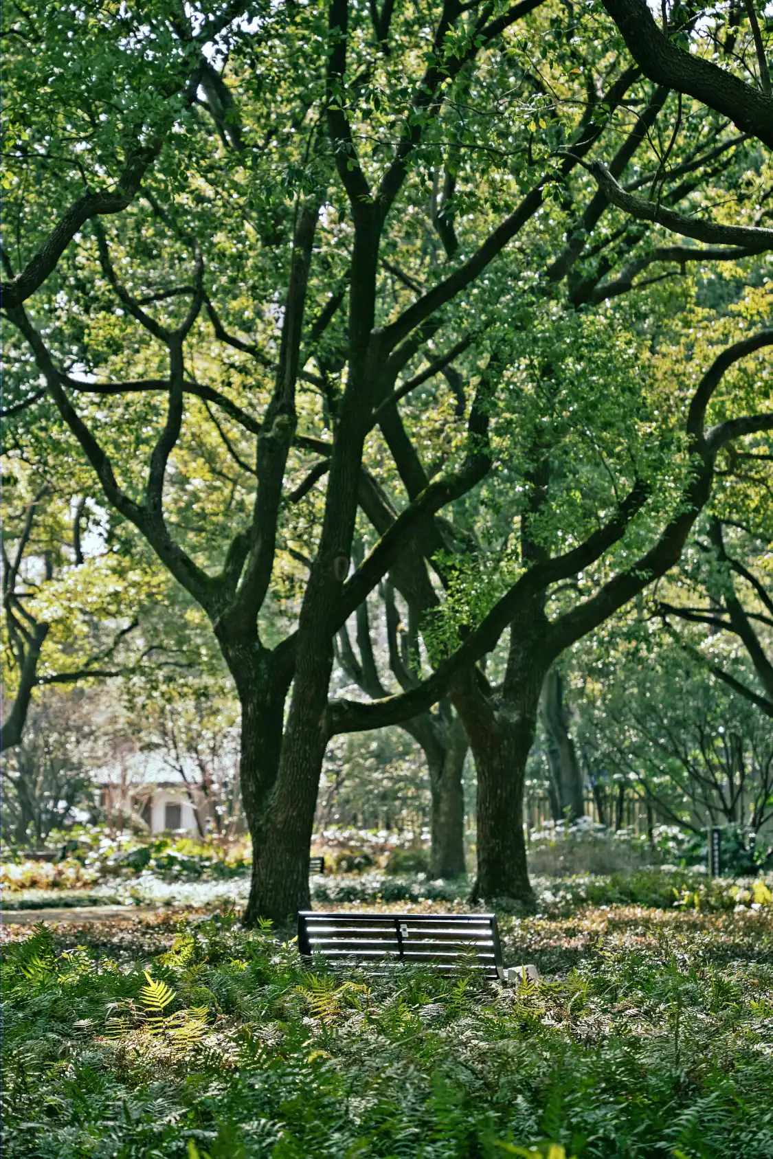 Hotels near Fuxingdao Park