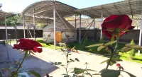 Apple Hostel Bishkek Hotels in 