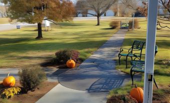 a well - maintained lawn with pumpkins and benches , surrounded by trees and a building in the background at Centennial House