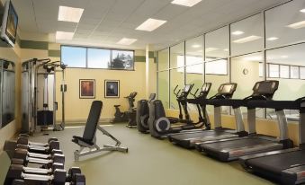 a well - equipped gym with various exercise equipment , including treadmills and weight machines , in a spacious room with large windows at Sonesta Milwaukee West Wauwatosa