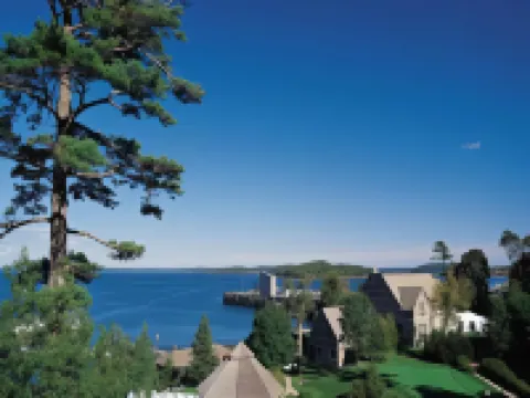 데이즈 인 바 하버