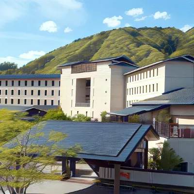 Iizaka Onsen Surikamitei Ohtori