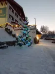 33 Bears