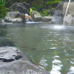 Nakaya Ryokan - Hot Springs