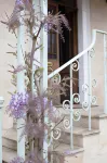 Grigshot Apartment Hotel di Stonehouse