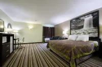 Super 8 by Wyndham Hull Street Midlothian/Richmond Area Отели в г. Chesterfield County