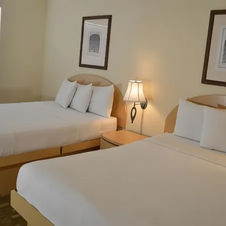 Island House South Beach Отели рядом с достопримечательностью «Памятник жертвам Холокоста»
