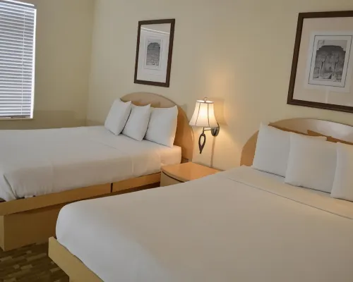 Island House South Beach Hotels in Miami Beach