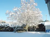 Birchdale House B&B Hotels in Wicklow