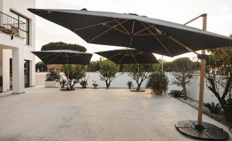 Casa Cuatro Boutique Hotel - Adults Recommended