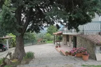 Bed & Breakfast Villa Flora Hotel dekat Terrazza del Cilento
