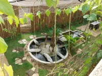 BC ลอดจ์ โรงแรมใน