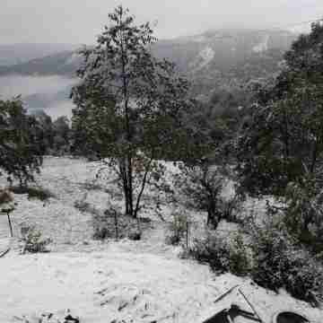 Jfr Studio Apartments Kausani Others