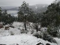 Jfr Studio Apartments Kausani