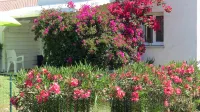 Mini Dream Villa with Your Feet in the Water, Heated Swimming Pool