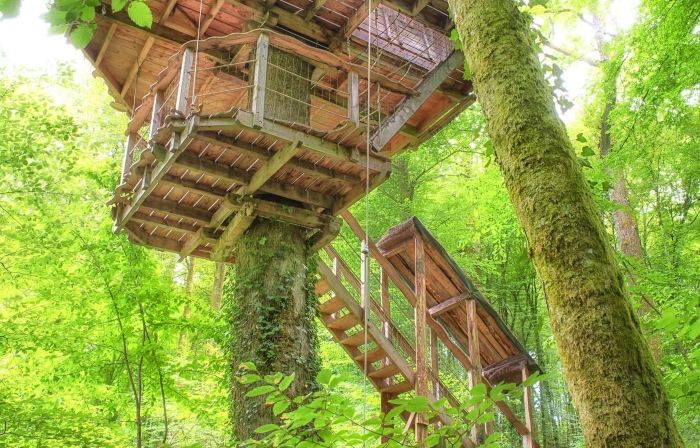 L'arbre à Cabane