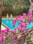 Resort Hoshihana - منتجعات