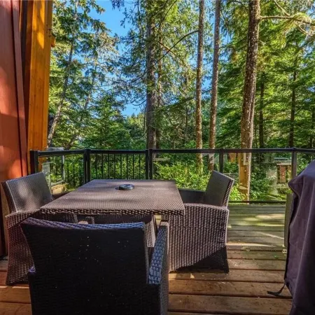 RAINFOREST GETAWAY - Directly on Spring Cove!