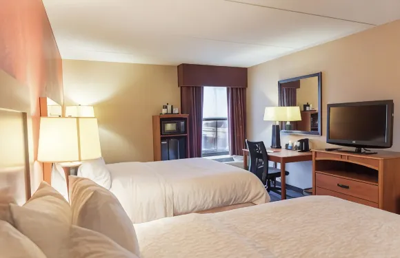 希爾頓歡朋酒店-馬斯基根