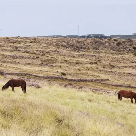 Tierra Espiritual - Andean Holistic Hotel