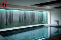Europe Haguenau – Hotel & Spa - Pools