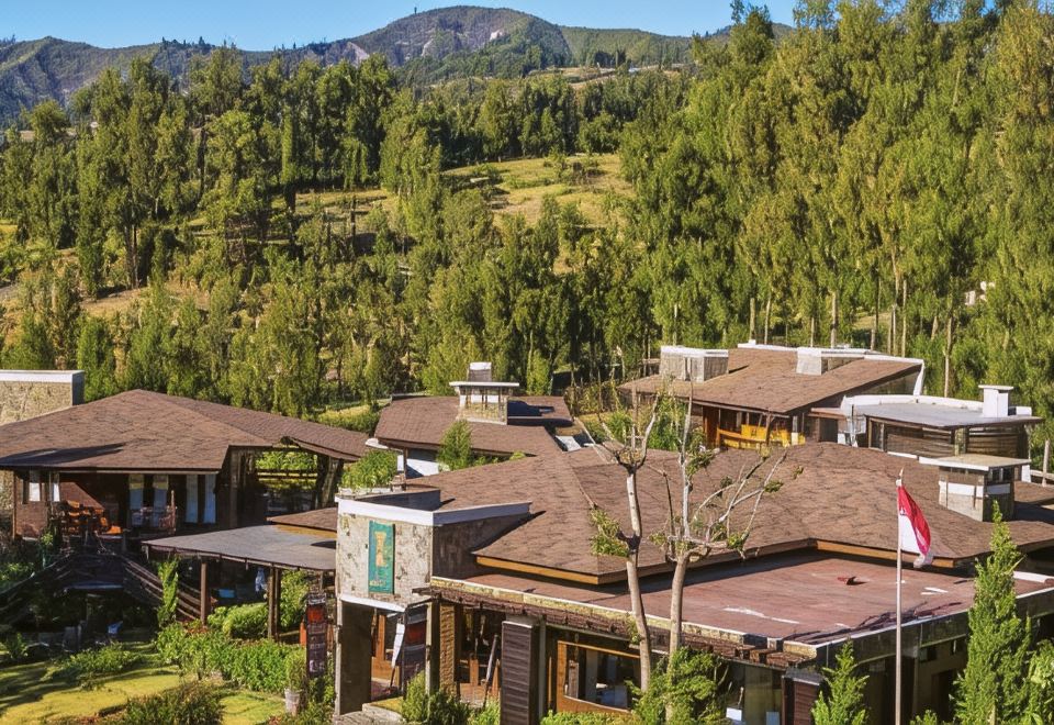 브로모 페르마이 I 객실 사진