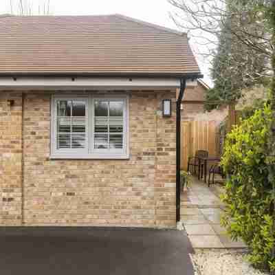 Peaceful Studio Flat with Patio and Dogs Allowed Hotel Exterior