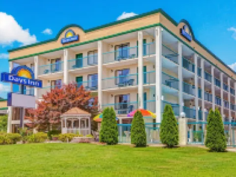 Spark by Hilton Kodak