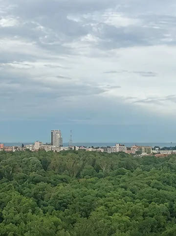 รูปภาพของA.D. Living